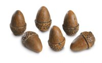 CERAMIC ACORN 6 PACK