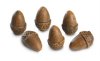 CERAMIC ACORN 6 PACK