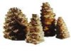 CERAMIC PINE CONE 4 PACK